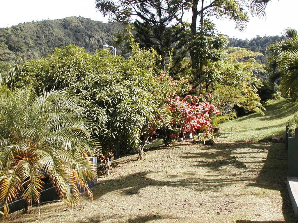 Monique's Guest House Maraval Extérieur photo